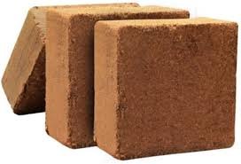 Cocopeat Brick